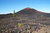 323_SS100028.jpg