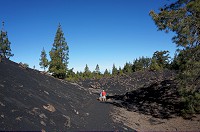 328_DSC08624.jpg