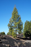 331_SS100038.jpg