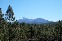 332_SS100040.jpg