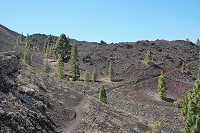 341_SS100061.jpg