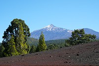 345_SS100075.jpg