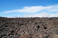 353_SS100100.jpg