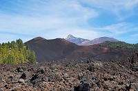 357_SS100108.jpg