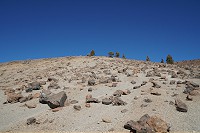 413_SS100205.jpg