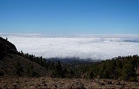 414_SS100207.jpg
