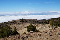 419_SS100211.jpg