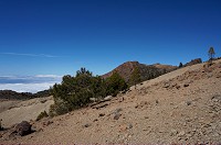 421_DSC08737.jpg