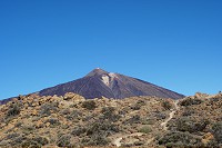 422_SS100216.jpg