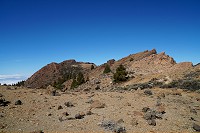 423_SS100217.jpg