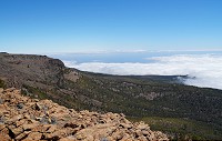 446_SS100254.jpg