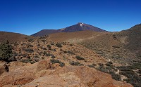 450_DSC08768.jpg