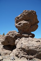 452_SS100261.jpg