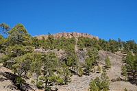 454_SS100269.jpg