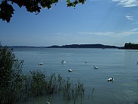 CIMG8710.JPG