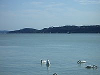 CIMG8711.JPG