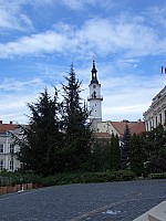 CIMG8743.JPG