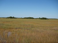 IMG_3085.jpg