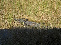 IMG_3099.jpg
