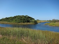 IMG_3106.jpg