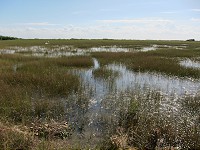 IMG_3115.jpg