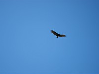 IMG_3125.jpg