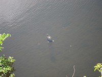 IMG_3133.jpg