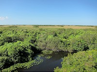 IMG_3138.jpg