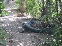 IMG_3149.jpg