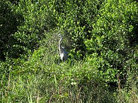 IMG_3156.jpg