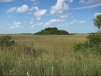 IMG_3161.jpg