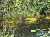 IMG_3164.jpg