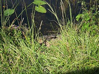 IMG_3167.jpg