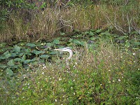 IMG_3177.jpg