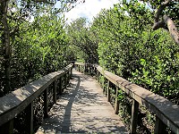 IMG_3194.jpg