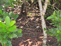 IMG_3199.jpg