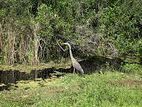 IMG_3204.jpg