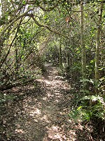 IMG_3208.jpg