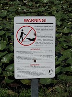 IMG_3212.jpg