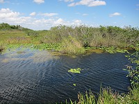 IMG_3230.jpg