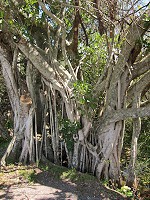 IMG_3231.jpg