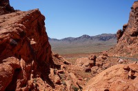 115_DSC01371.jpg