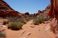 121_DSC01382.jpg