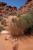 126_DSC01390.jpg