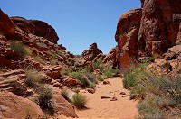 131_DSC01396.jpg