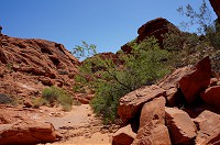 133_DSC01402.jpg