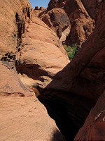 137_IMG_0198.jpg