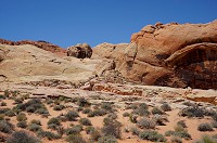 142_DSC01421.jpg