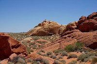 147_DSC01429.jpg