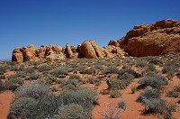 154_DSC01443.jpg